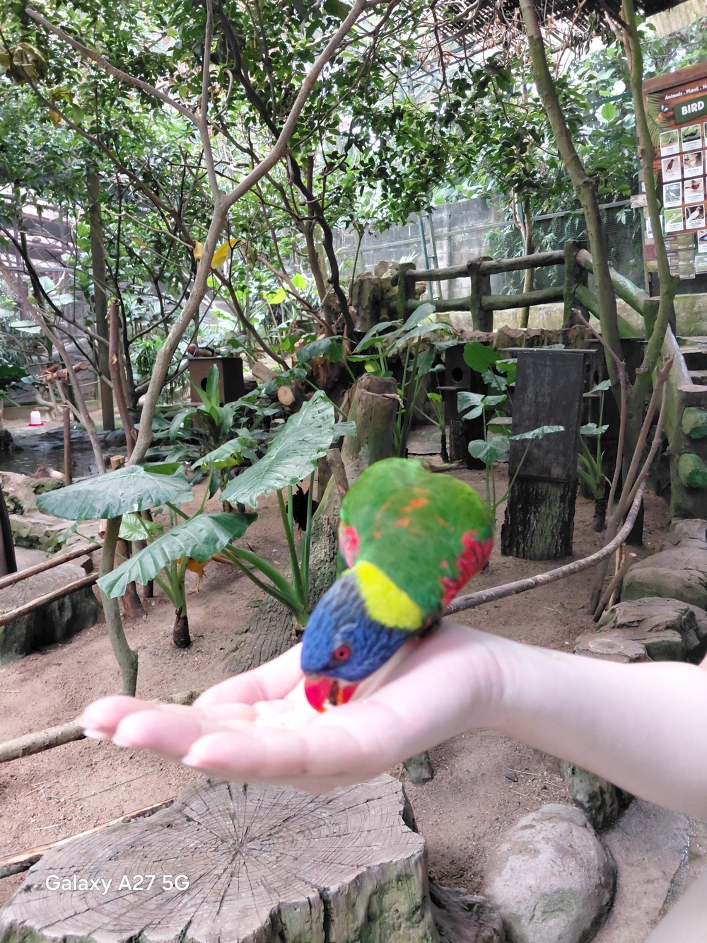 Image from: Samsung Galaxy A27 5G camera showcase: Middling shooters for a midrange smartphone
