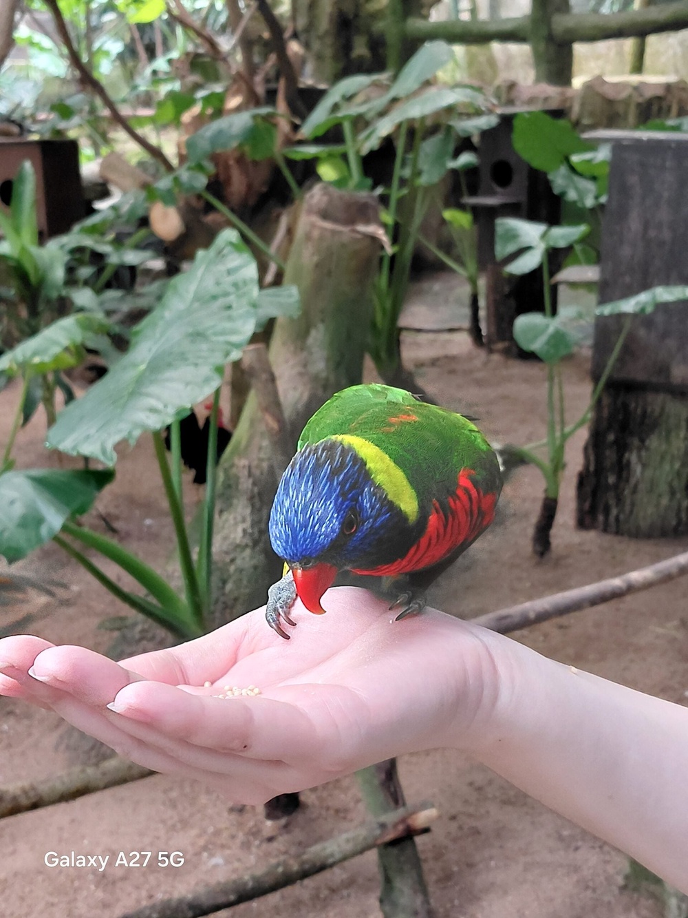 Image from: Samsung Galaxy A27 5G camera showcase: Middling shooters for a midrange smartphone