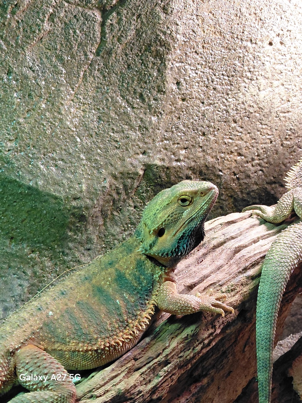 Image from: Samsung Galaxy A27 5G camera showcase: Middling shooters for a midrange smartphone