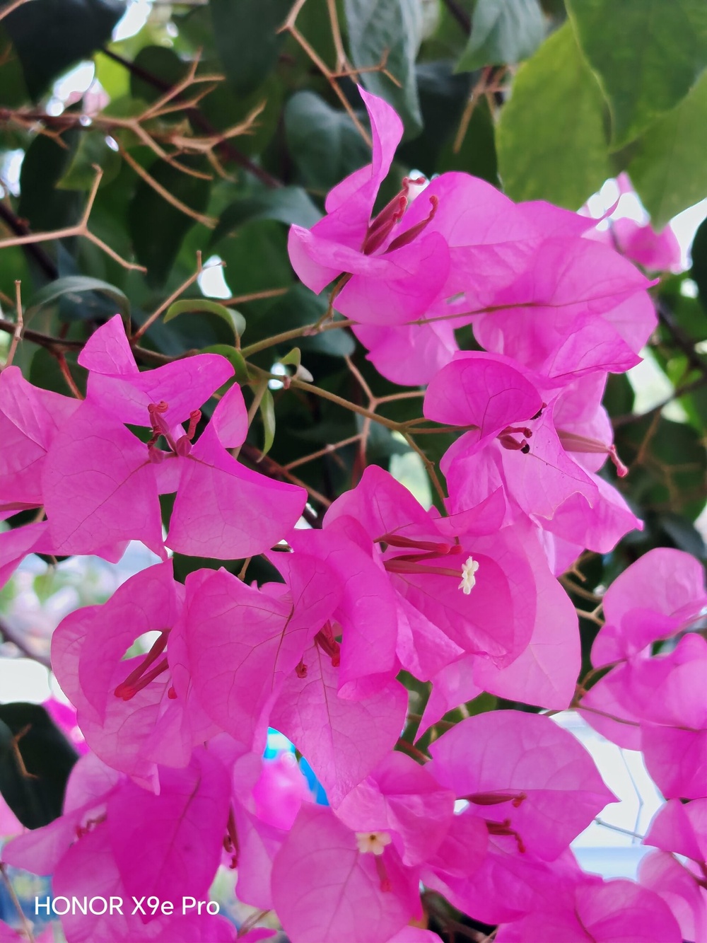 Image from: Honor X9e Pro Malaysia review: One weekend with just one charge