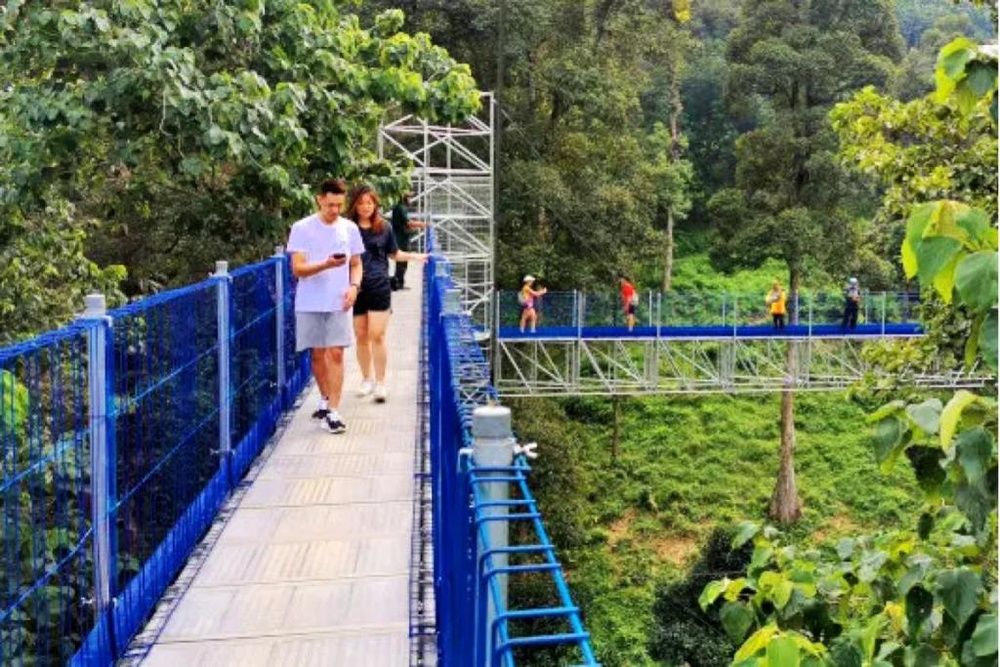 Top 10 Best Cafes In Kepong 2024   Forest Skywalk 1024x683 