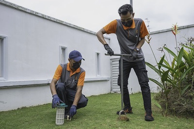 Diamond Pest Control Johor Taman Impian Emas termite treatment Johor Bahru