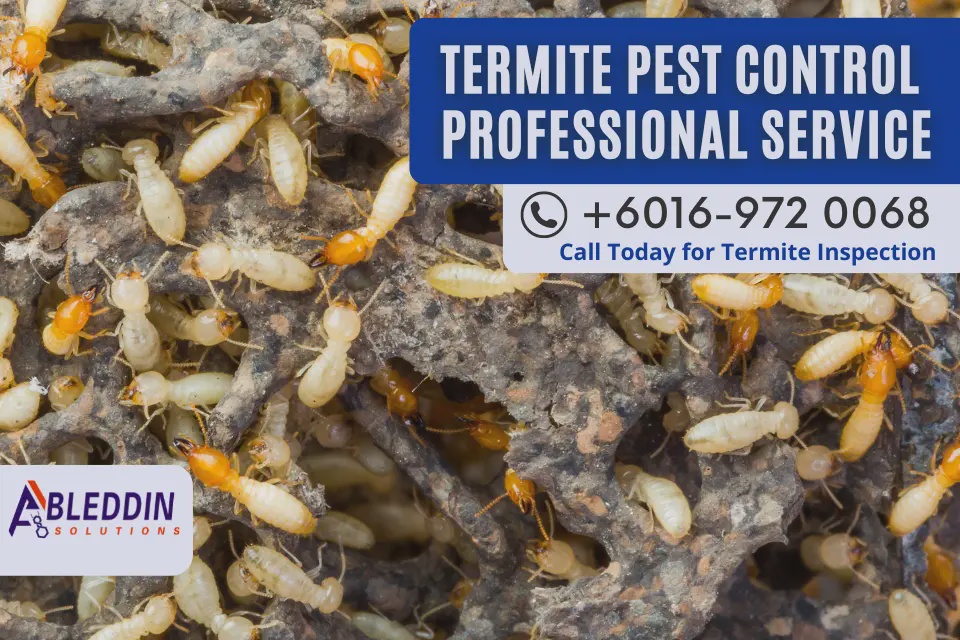 Ableddin Termite Control Johor Bahru Taman Ungku Tun Aminah anai anai specialist
