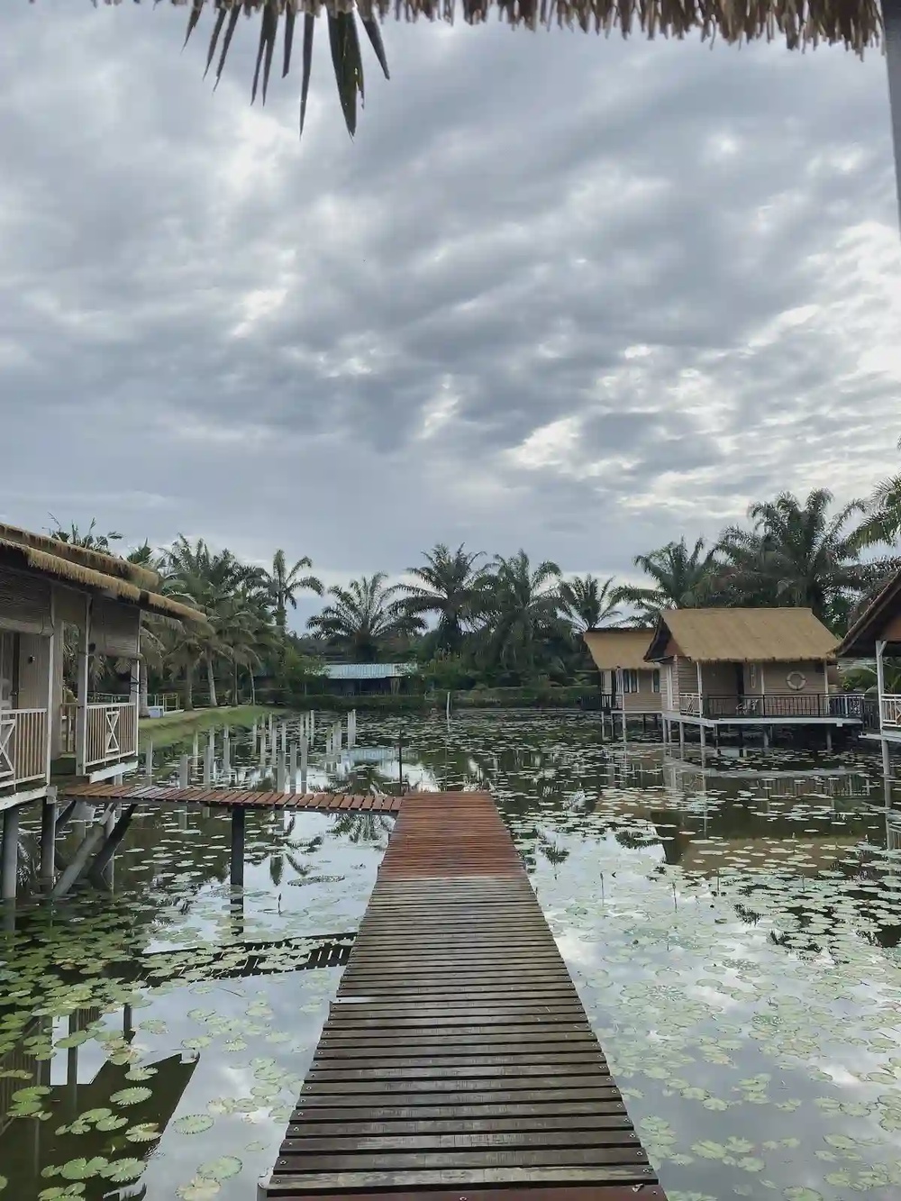 Star Fish Leisure Farm Kulai Johor animals family day