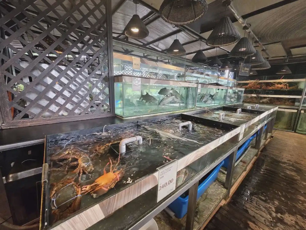 South Sea Seafood Shah Alam upmarket live tank seafood restaurant