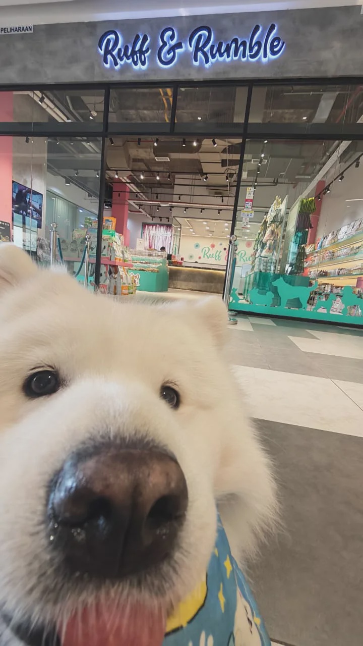 Ruff and Rumble dog grooming daycare Megah Rise Mall Petaling Jaya
