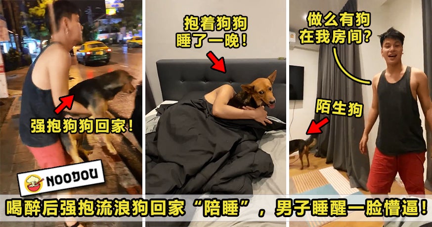 Drunk Dog Featured 1