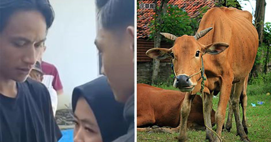 Wife Curang Hand Over Ft Img