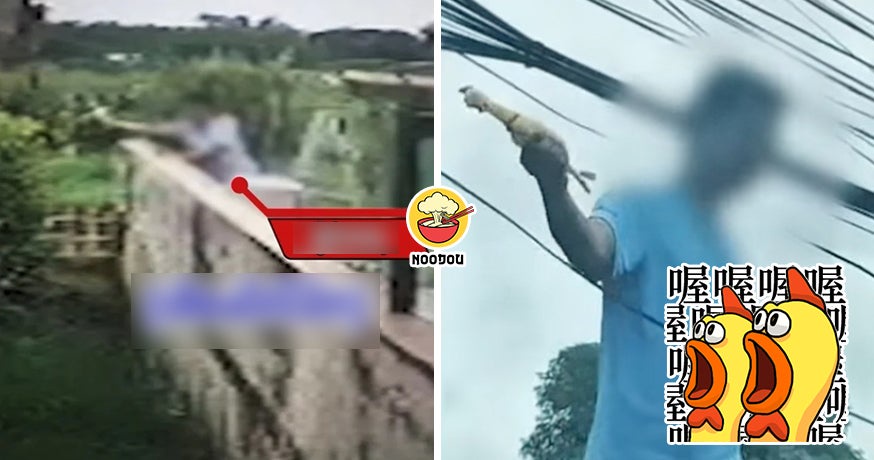 10 Years Chicken Scream Neighbour Ft Img