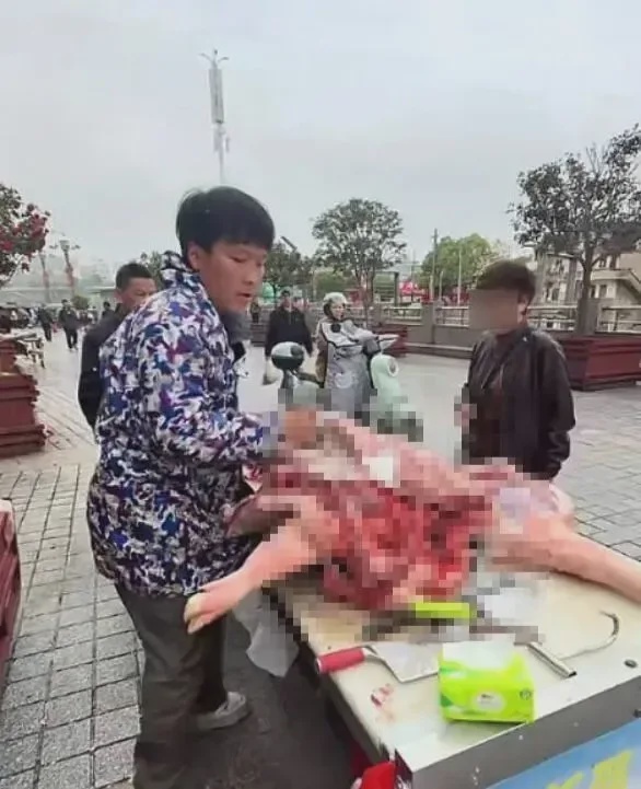 05年没上大学杀猪养6弟妹希望父母别再生孩子4