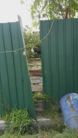 pic 5