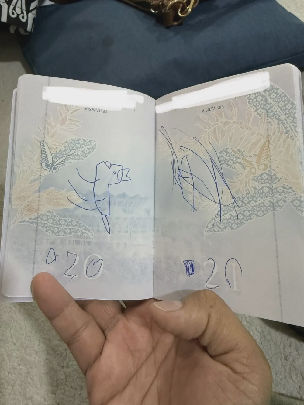 3岁儿子涂鸦护照画恐龙损坏不能出国改机票 3