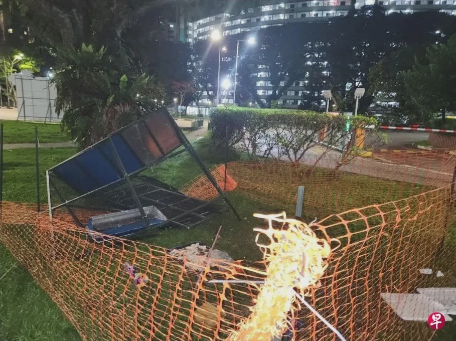 51岁男子觉得乌鸦受困捕鸟器可怜孤独破坏鸟笼放生被判坐牢24天 2