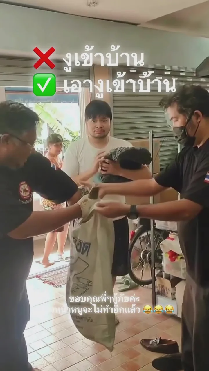 男子喝醉把蟒蛇带回家隔天醒来一脸懵 1