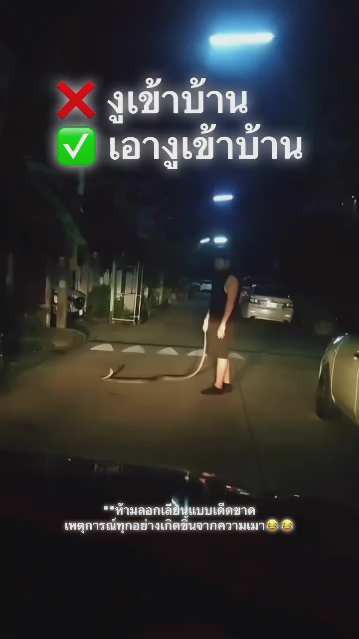 男子喝醉把蟒蛇带回家隔天醒来一脸懵 4