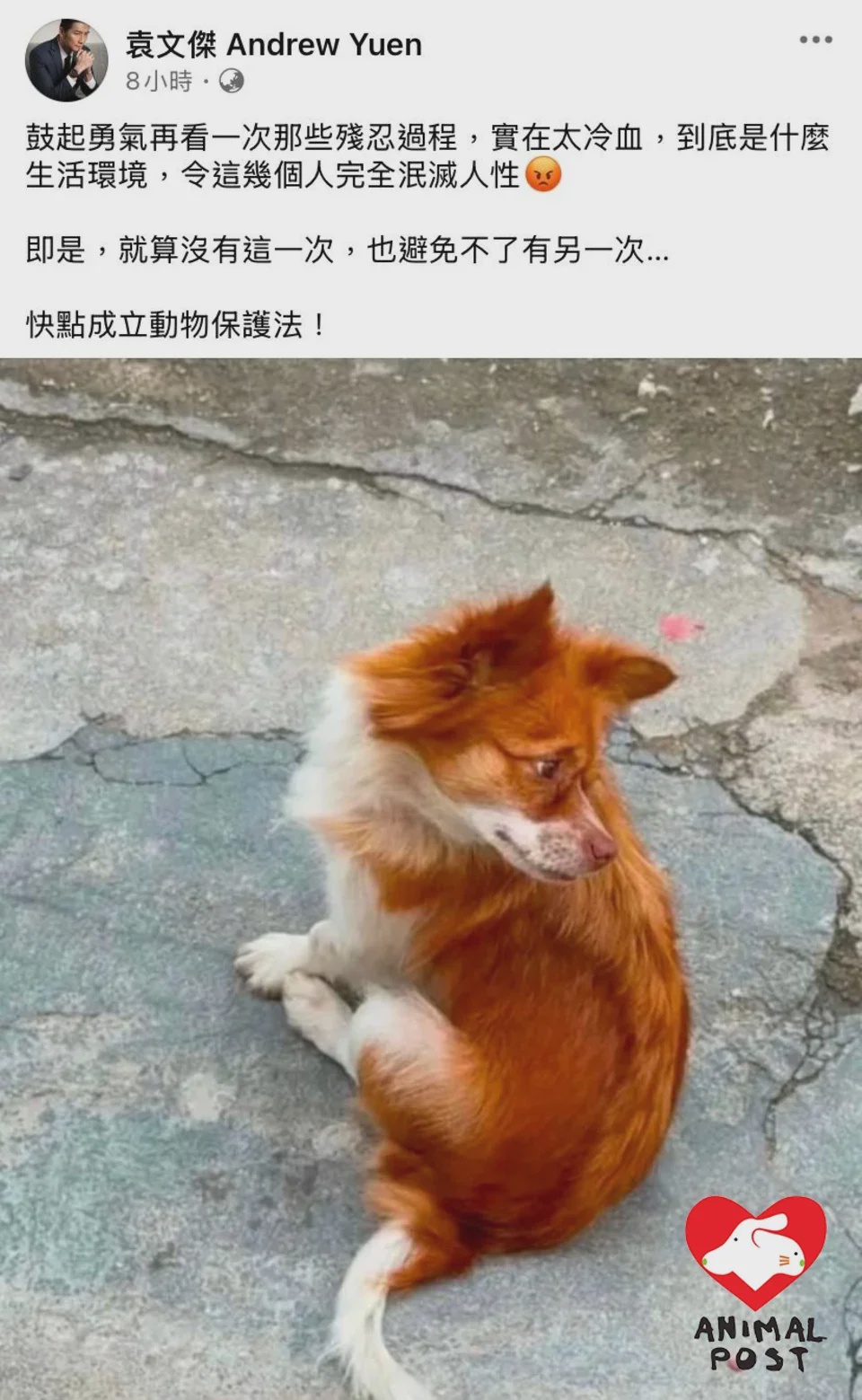 袁文杰