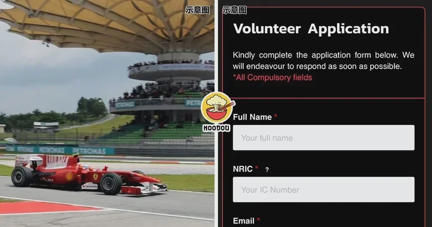 ft 24