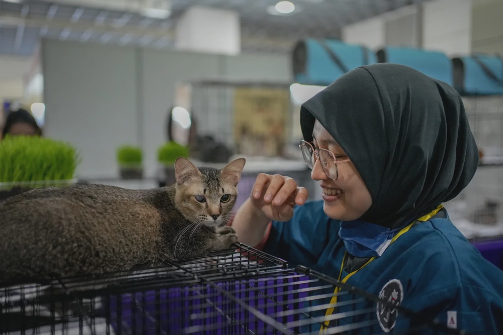 Adoption 11