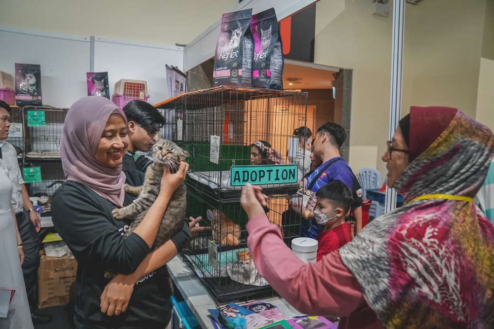 Adoption 17