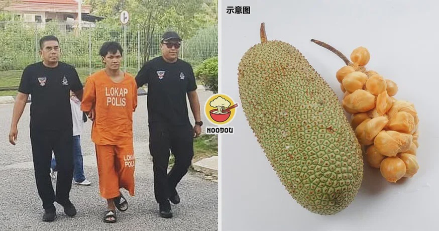 Cempedak Hit Dad Ft