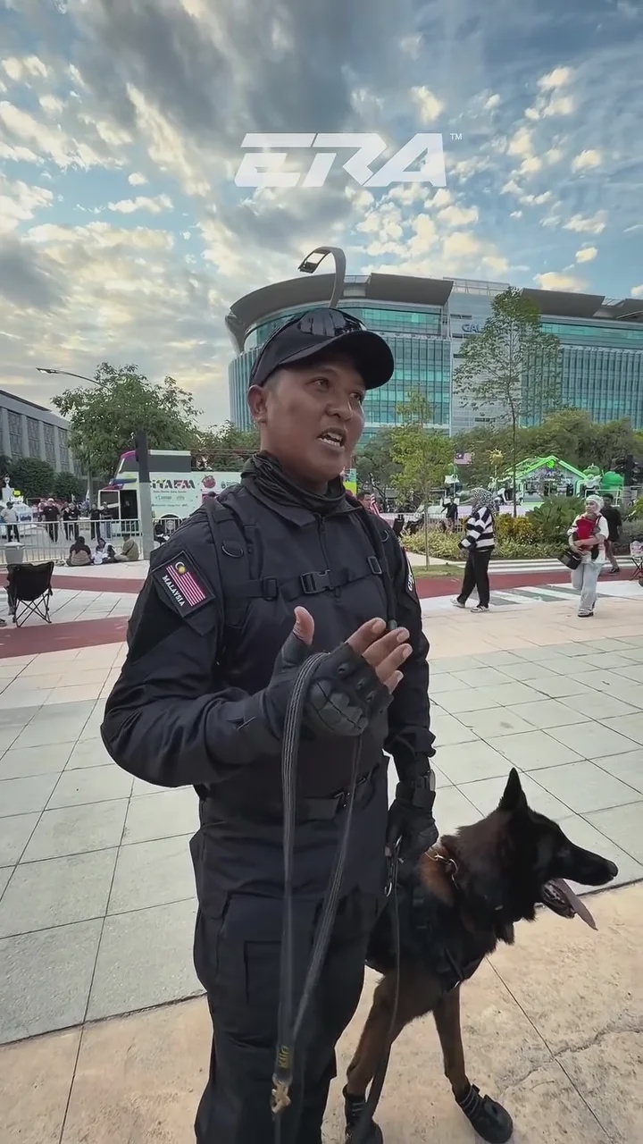 k9警犬国庆日庆典彩排起冲突开战 领犬员揭晓原因 4