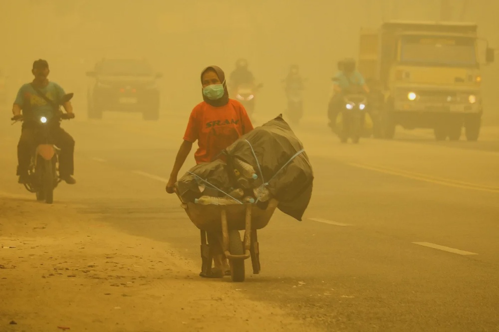 indo haze 1