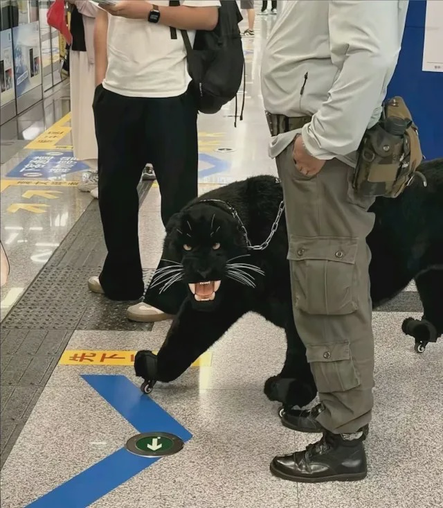 leopard luggage 1