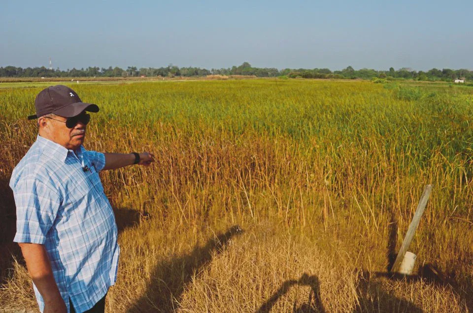 Image from: “Bantuan telah dibayar…”-Mat Sabu nafi dakwaan kerajaan lewat, gagal salur bantuan pesawah!
