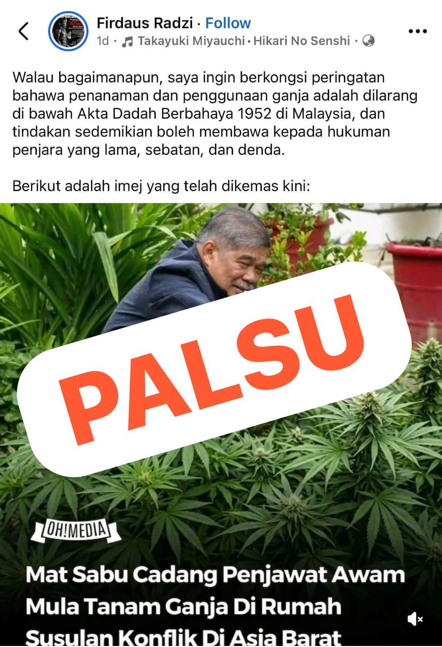 Image from: Saran tanam ganja? Pejabat Mat Sabu nafi sekerasnya, buat laporan MCMC dakwaan palsu!