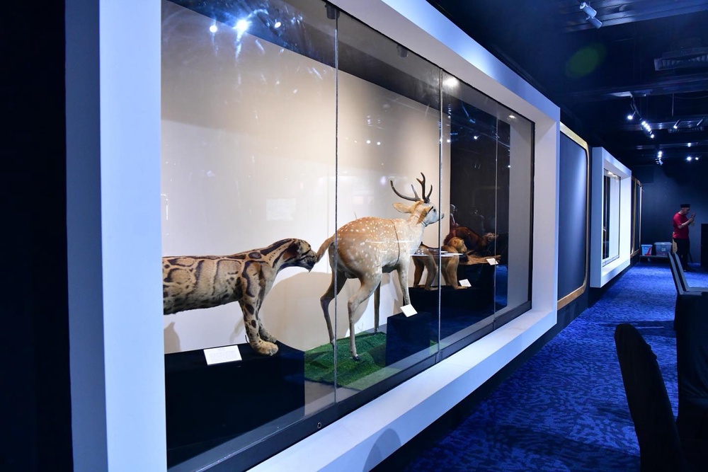 Image from: JMM manfaatkan teknologi AR & VR, lancar pameran maya Muzium Alam Semula Jadi