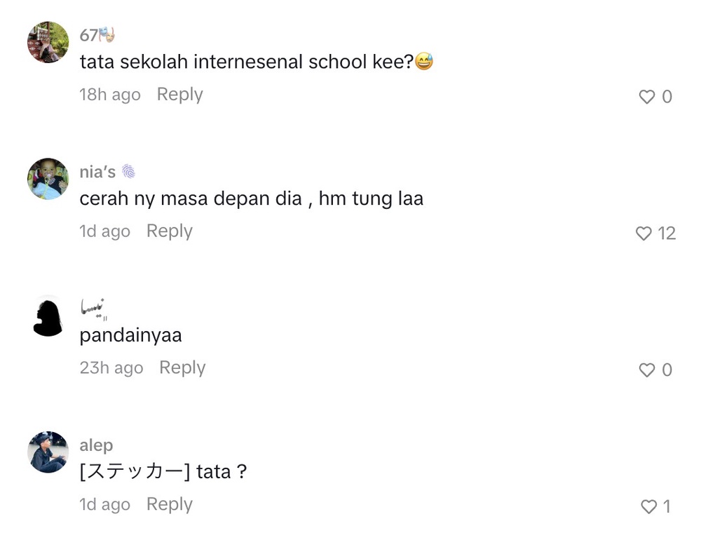 Image from: Thalita dipuji bijak, peroleh 99% dalam ujian matematik – “Untunglah, cerah masa depan”