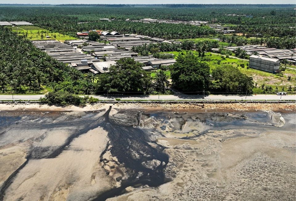Image from: Baki 11,000 ekor lagi! Ladang khinzir Tanjung Sepat bakal tutup sepenuhnya -Exco Selangor