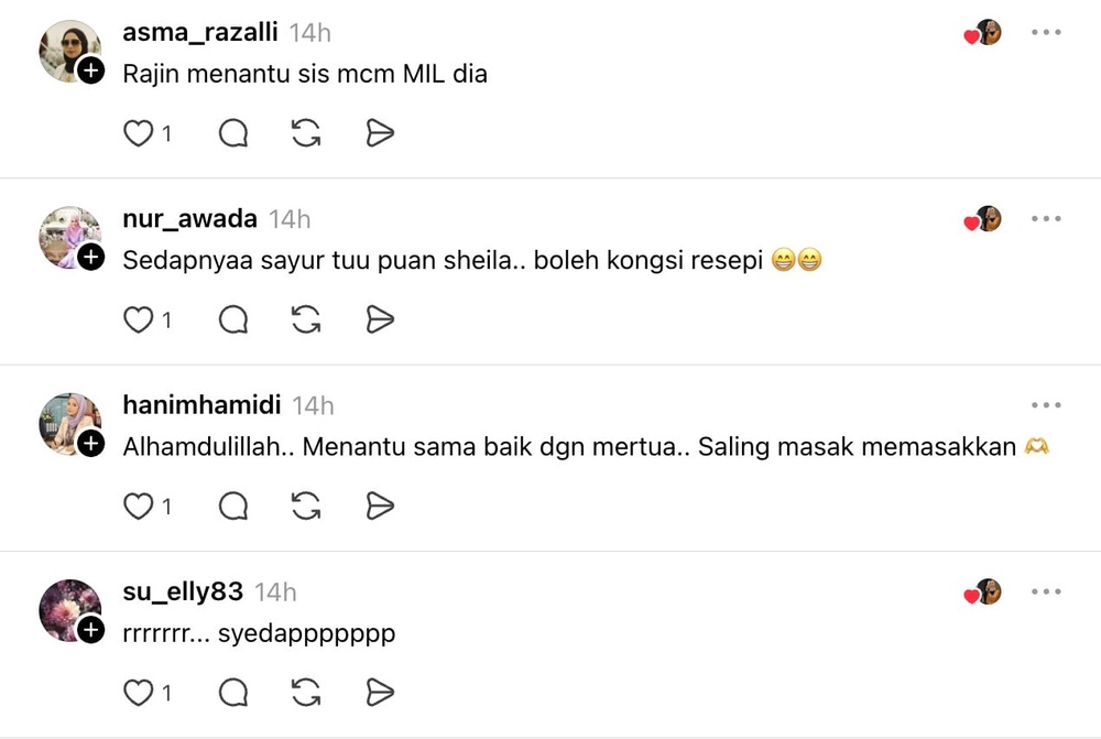 Image from: Rajin masak untuk mentua, Elisya Sandha dipuji netizen – “Menantu dan mentua dari syurga”