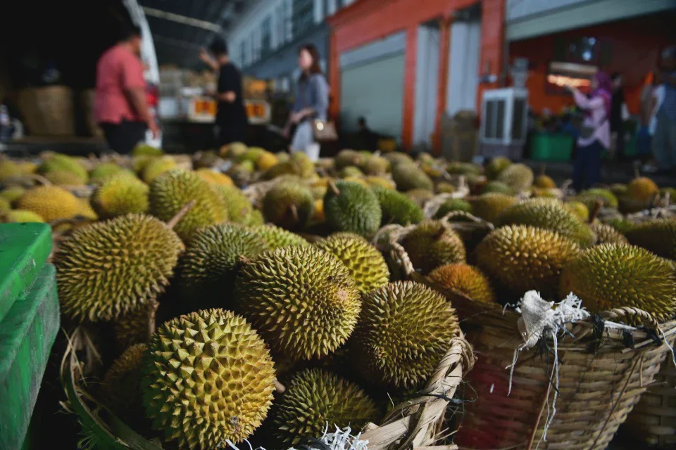 Image from: Lindungi pekebun, FAMA tawar harga lantai durian kampung RM2.70 sekilogram