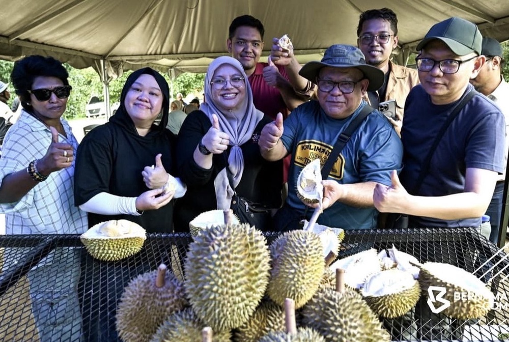Image from: Durian MS88 makin mendapat tempat, MARDI tanam 25,000 pokok sasar pasaran eksport