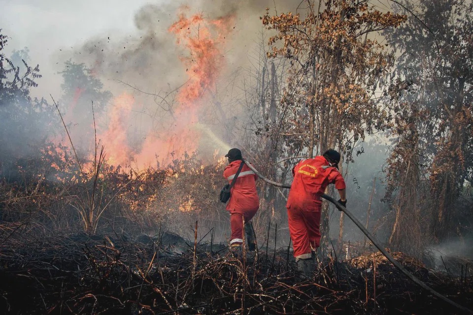 Image from: Malaysia hantar surat kepada Sekretariat ASEAN, desak tindakan tangani kebakaran hutan, jerebu