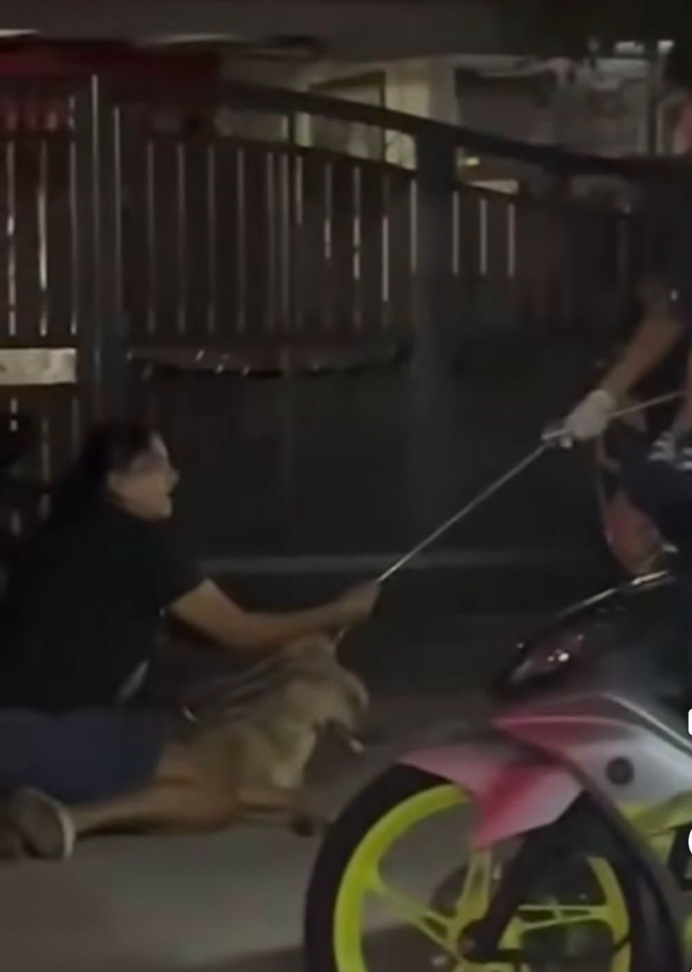 Image from: “Saya mengaku Rocky tiada lesen, tapi saya rayu…”- Pemilik desak siasatan telus kematian haiwan kesayangan