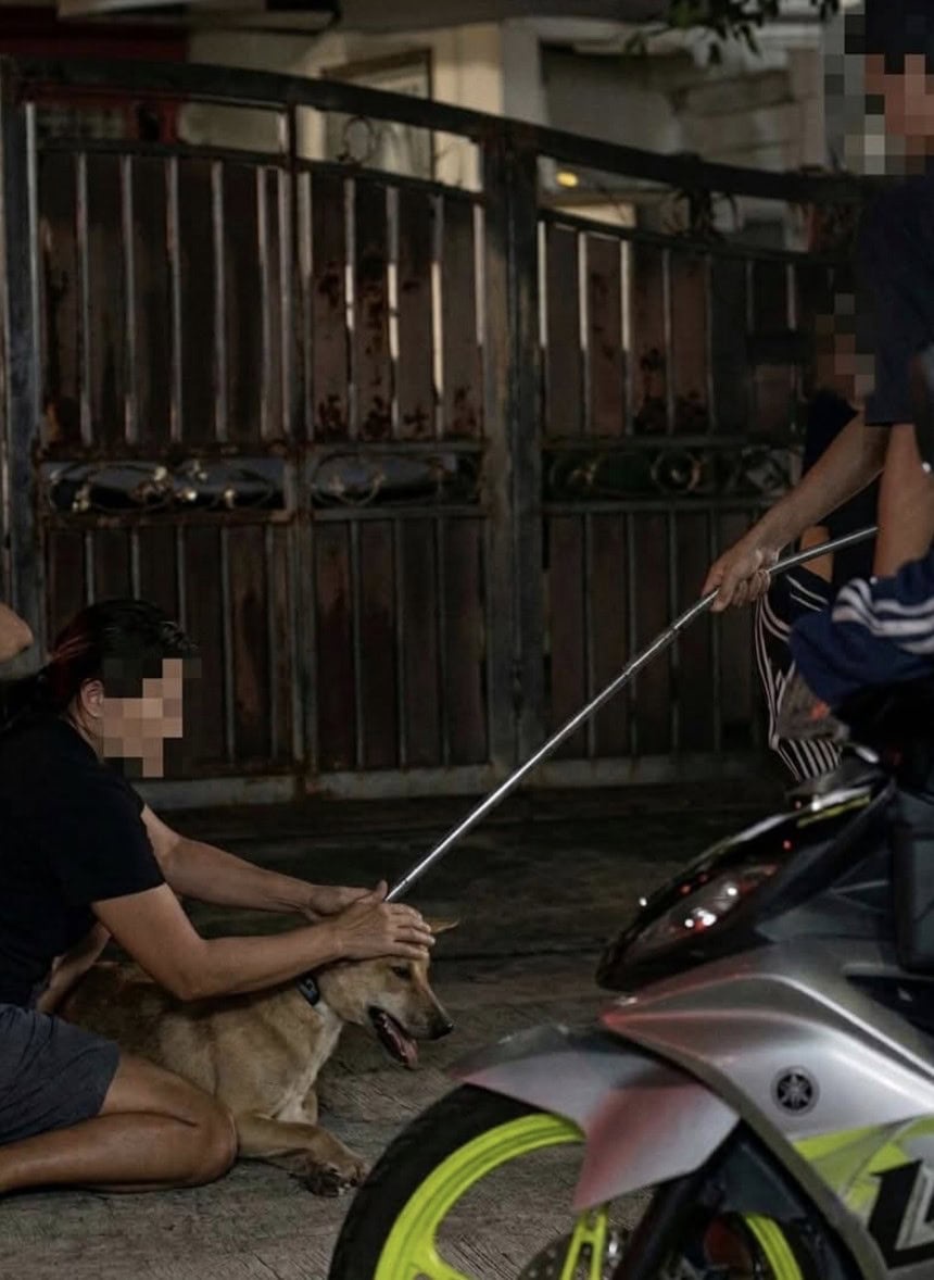 Image from: Keselamatan awam, haiwan seimbang, Amirudin minta jangan selektif buat tuduhan isu anjing liar di Selangor