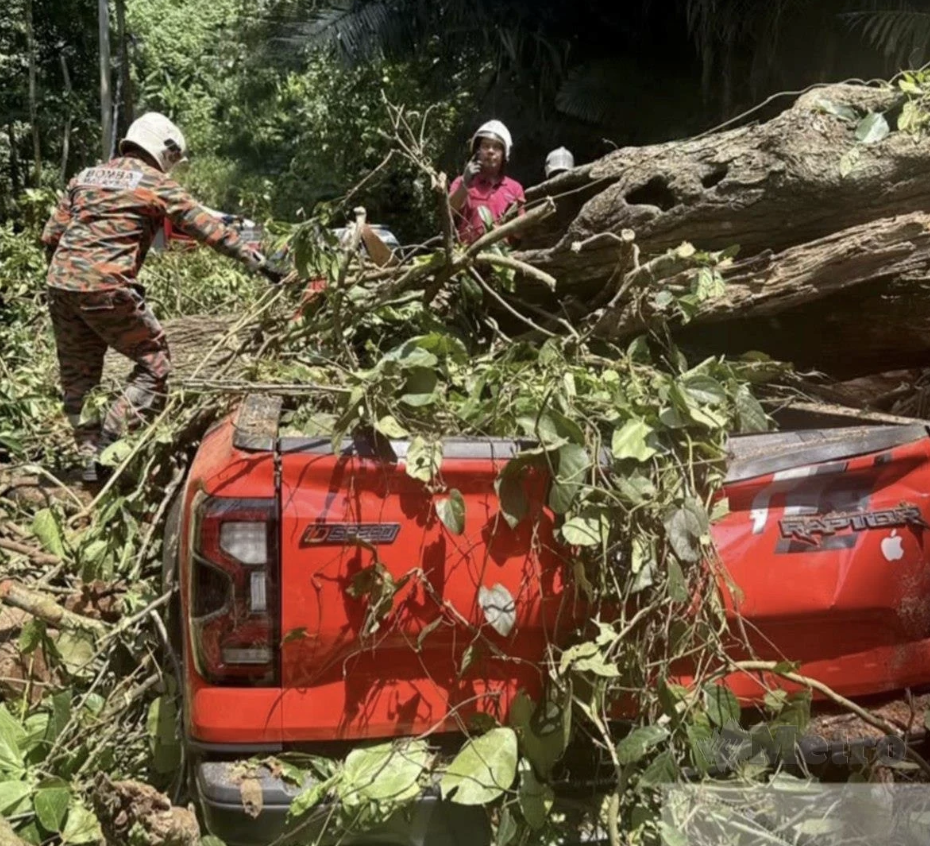 Image from: Pokok tumbang ragut nyawa? Ahmad Maslan jawab bukan tanggungjawab JKR! Pokok di tepi jalan bidang kuasa PBT