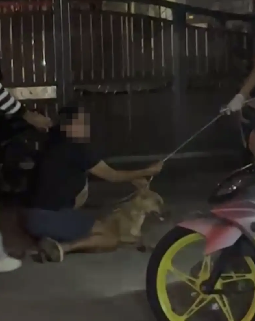 Image from: Wajah & identiti tersebar! Shah nafi cederakan anjing Rocky, terima ugutan b*nuh… sedia saman pemfitnah