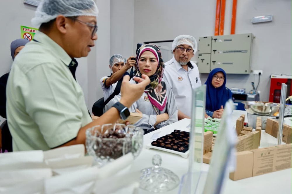 Image from: Industri koko masuk fasa baharu, inovasi dan teknologi jadi taruhan