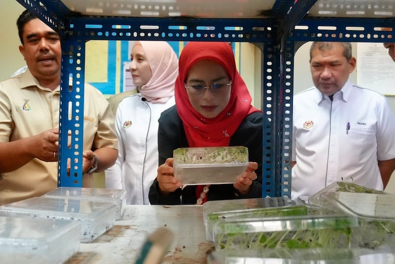 Image from: Bukan sawit dan getah sahaja, Noraini perkasa kenaf sebagai komoditi masa depan