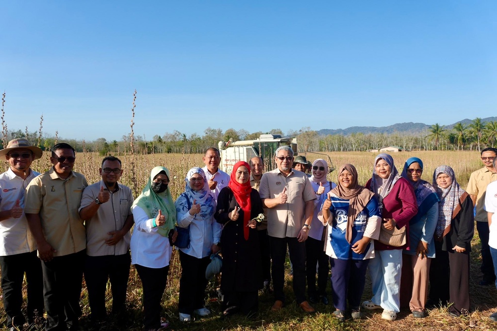 Image from: Kenaf makin diperluas! 2,500 hektar disasar tahun ini – Noraini