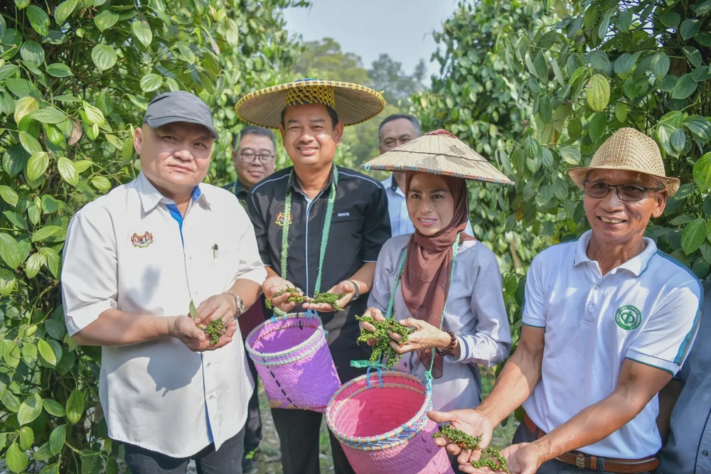 Image from: Belanjawan 2027: Noraini senarai lima fokus perkasa sektor agrikomoditi