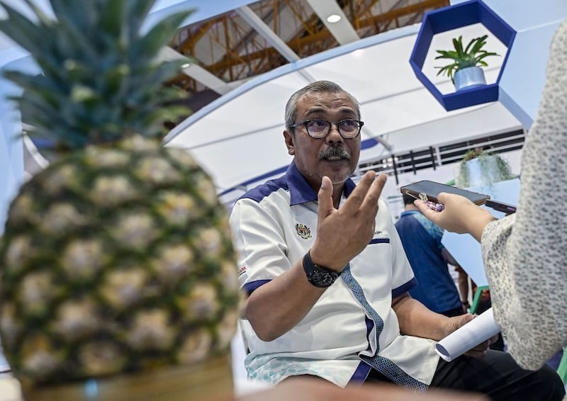 Image from: LPNM dedah negara Eropah puji kualiti nanas Malaysia, permintaan global terus meningkat!