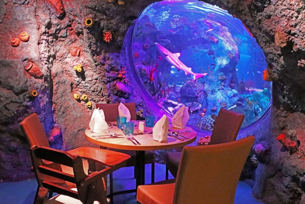 Image from: LEGOLAND Malaysia Brings Back Underwater Dining