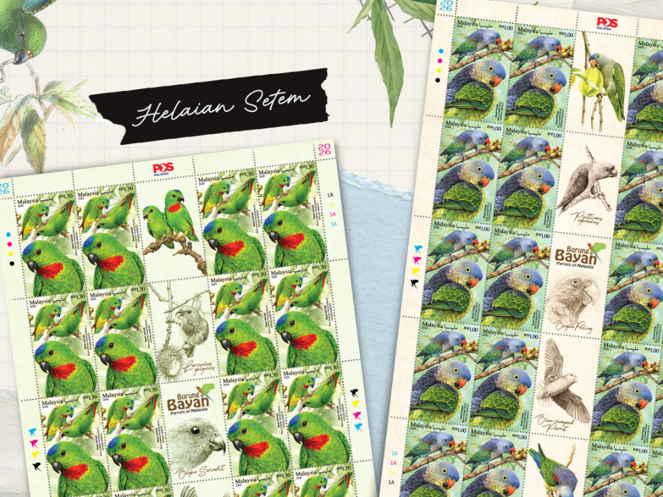 Image from: Pos Malaysia Unveils Parrots of Malaysia Stamp Series