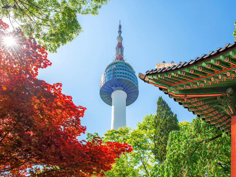 Image from: K-Culture Inspires Malaysians to Explore More of South Korea