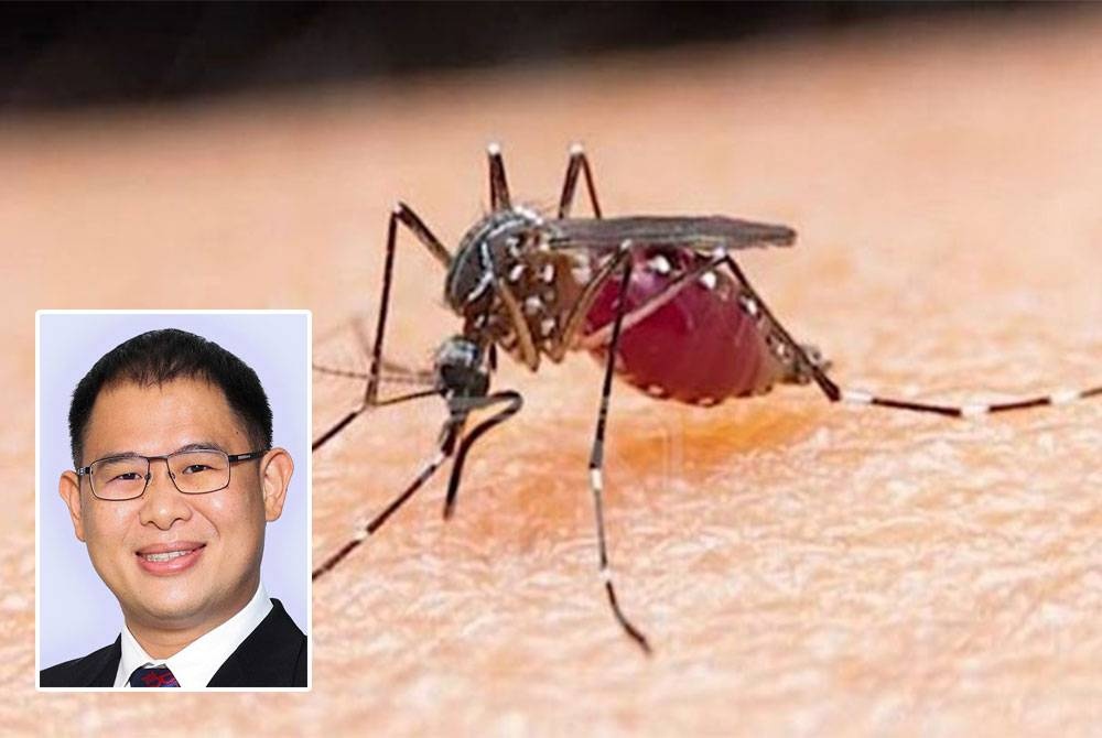 Dengue 13 Deaths Recorded In Johor 