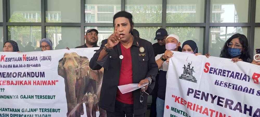 Image from: NGOs give three-day ultimatum to bring home Dara, Amoi and Kelat from Japan